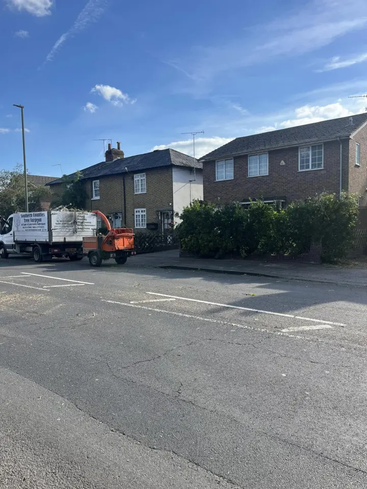 After: The same frontage with the conifers gone, the company tipper truck and chipper parked outside
