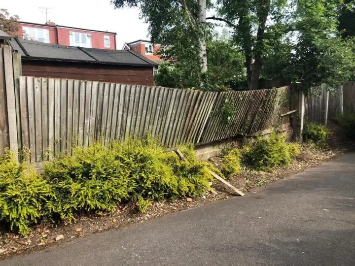 Before: A leaning, broken wooden fence behind overgrown shrubs alongside a path
